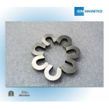 High Performance China Cheap Permanent Magnet